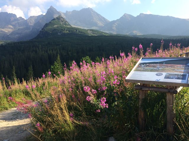Landscape