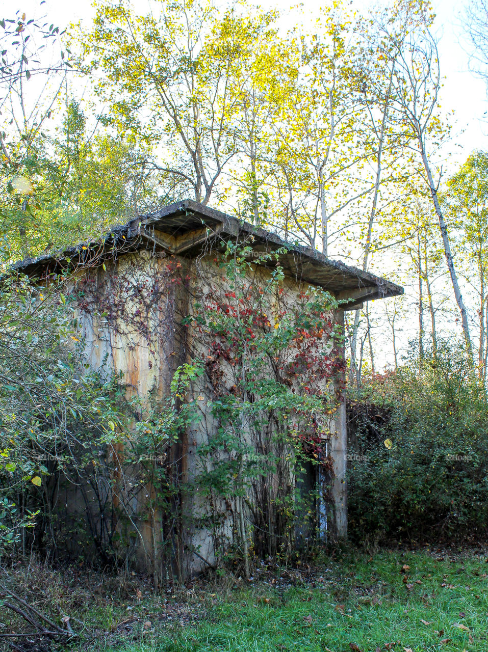Abandoned concrete building from the WWll era West Virginia Ordinance Works covered in vines 