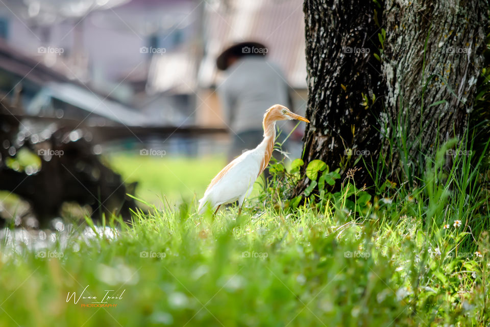 Life needs each other