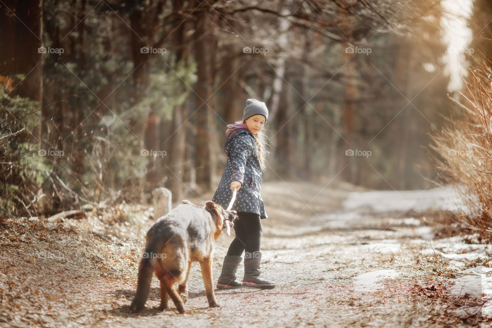 Girl walking with German shepherd puppy in a spring forest 