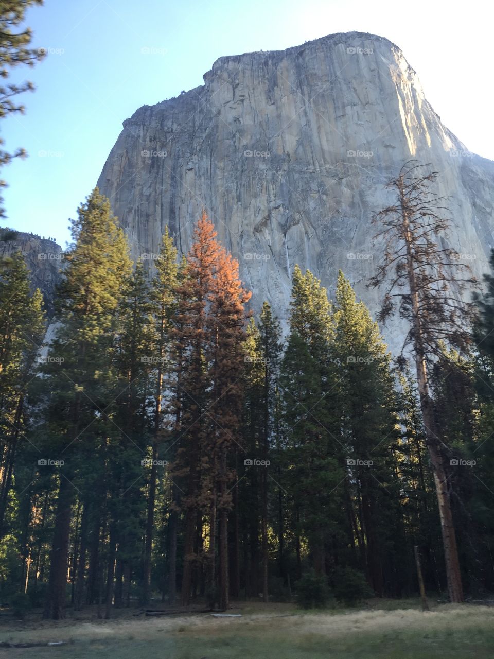 El Capitan Yosemite National Park