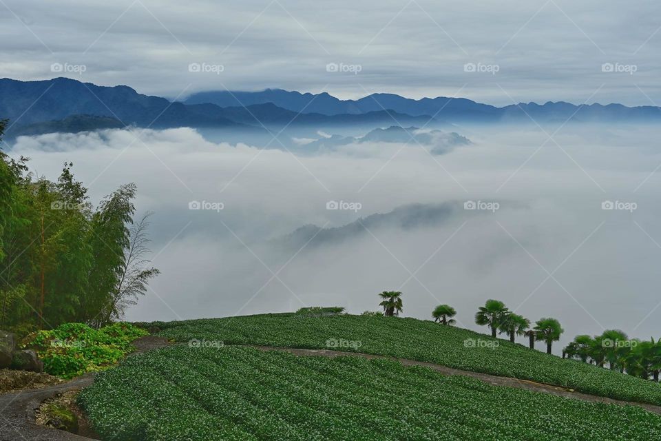 Beautiful mountain scenery with sea of clouds