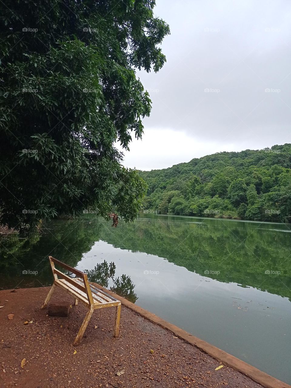 Beautiful relaxation point in summer deep forest blue sky river mattle bench and fresh air it's looks like heaven enjoying summer