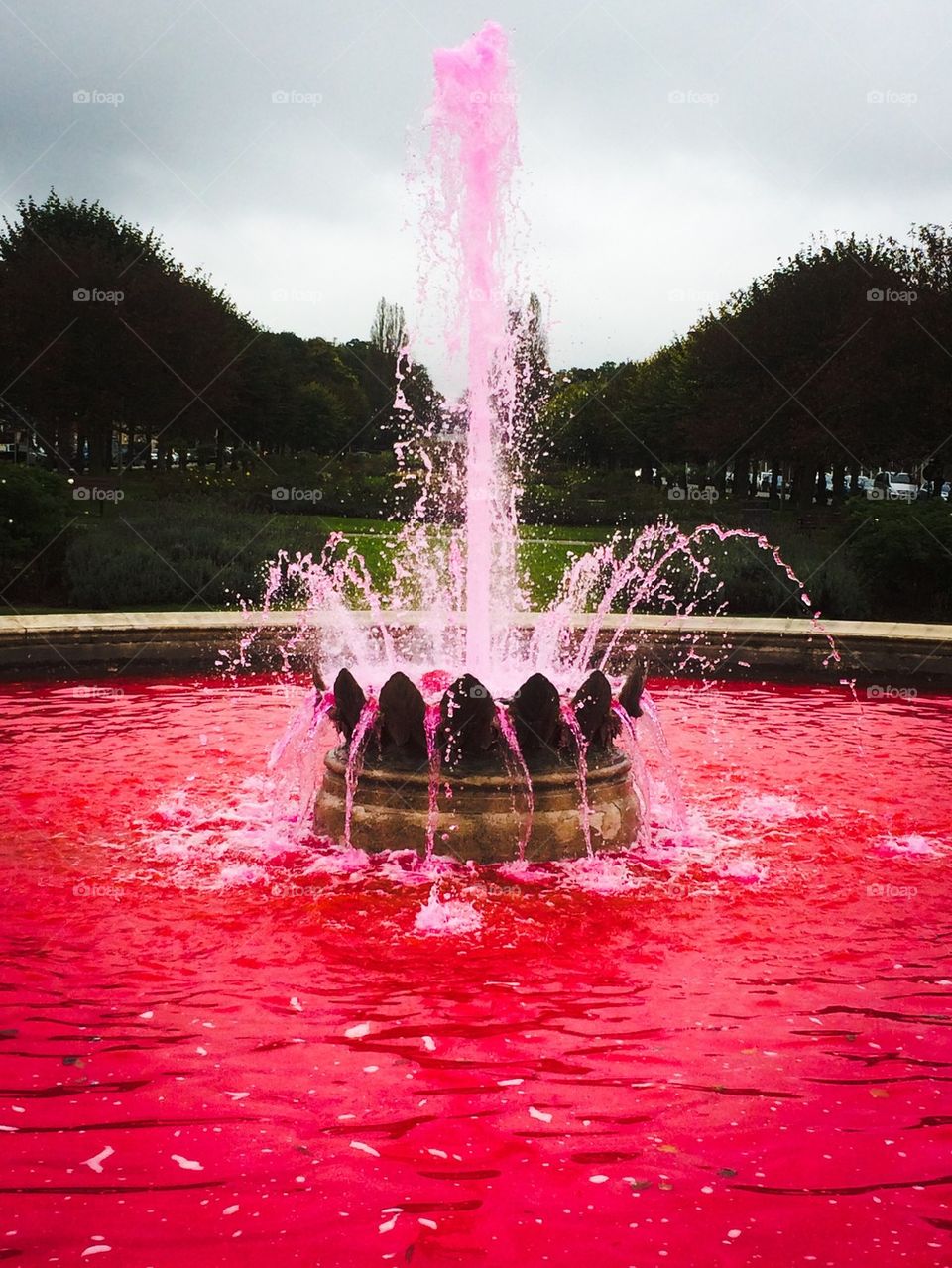Pink fountain