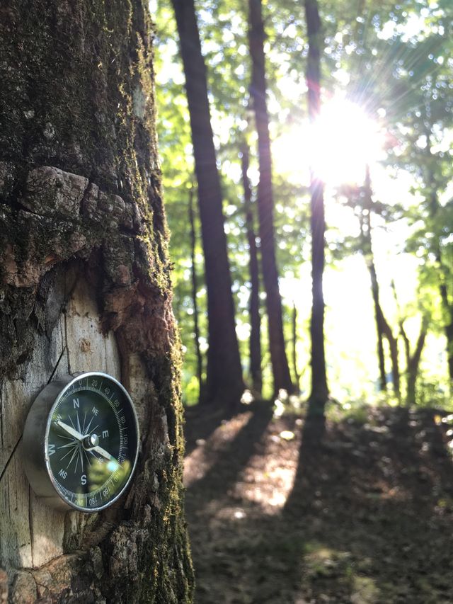 Adventure 