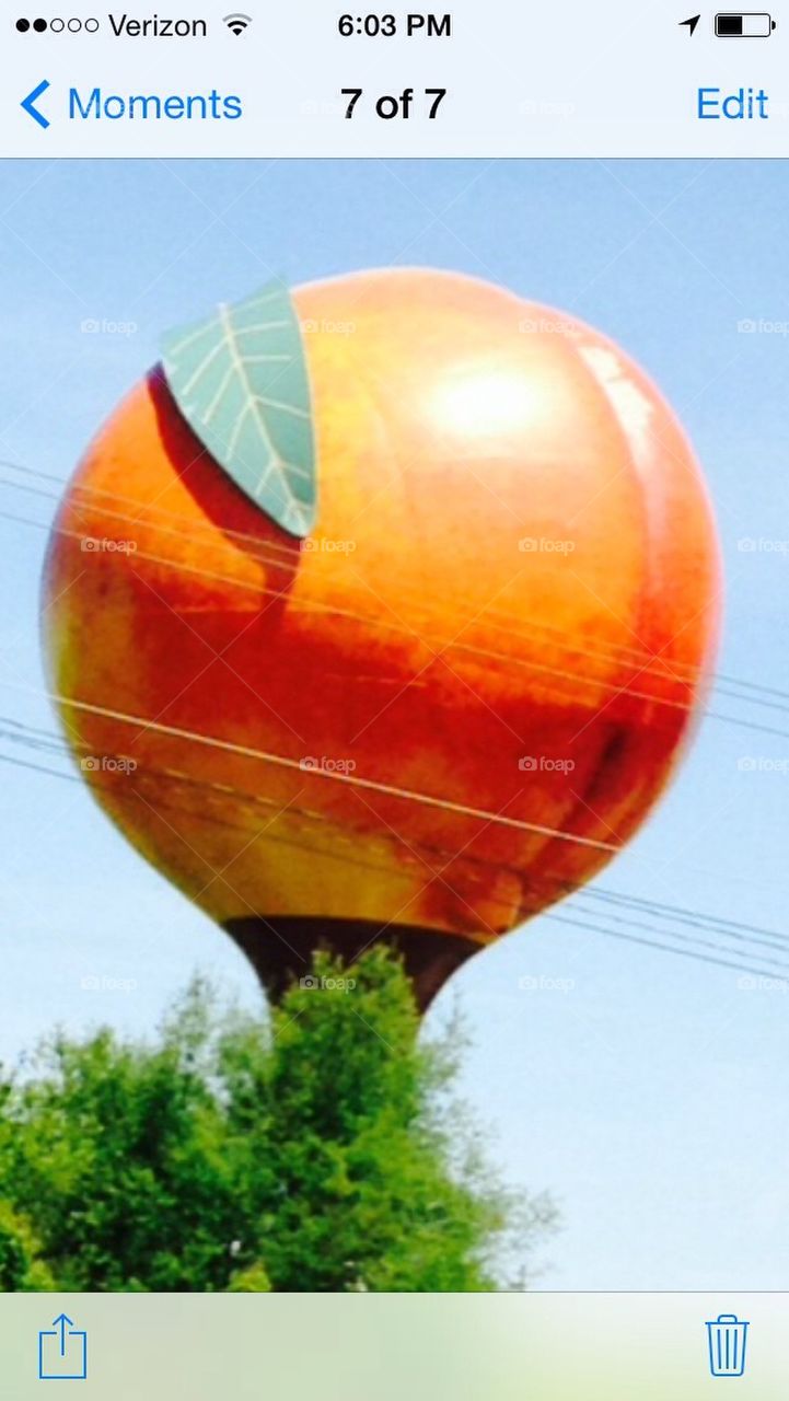 Giant peach