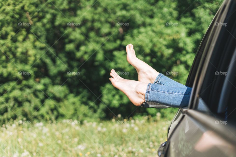 Slim woman legs barefoot in jeans in car window on background of summer meadow, summertime vacations