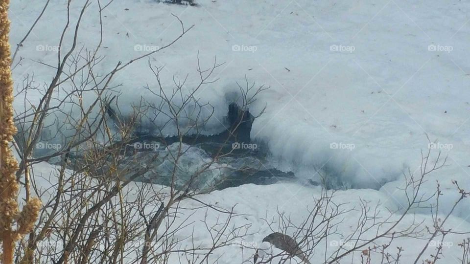 Water moving through snow & Ice
Cold, snow, fall, bushes,