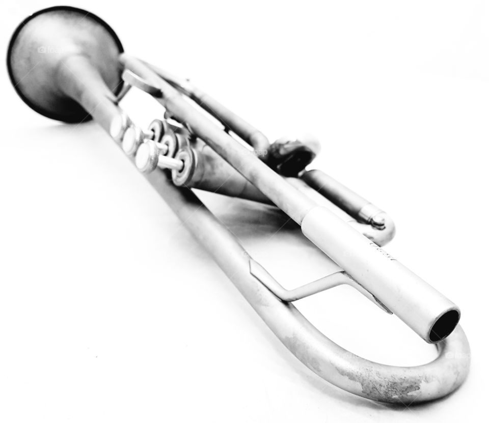 Trumpet black and white
