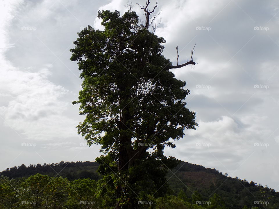 River to mount halimon aceh