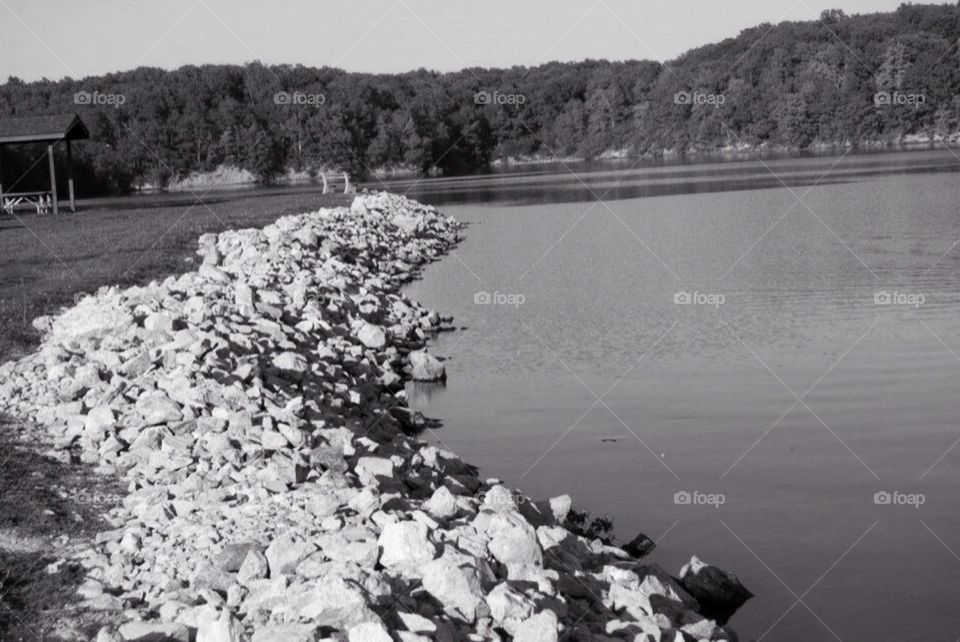 Shoreline on a lake. Shoreline in a lake in Southern Illinois.
