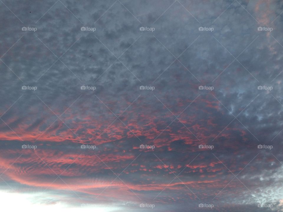 candy color sunset . looking up