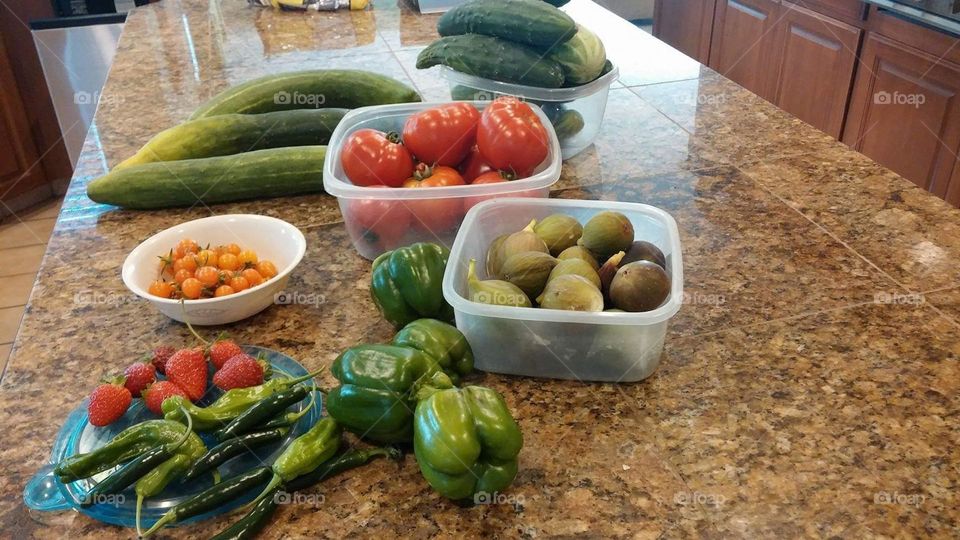 It’s fun to grow vegetables in the backyard!