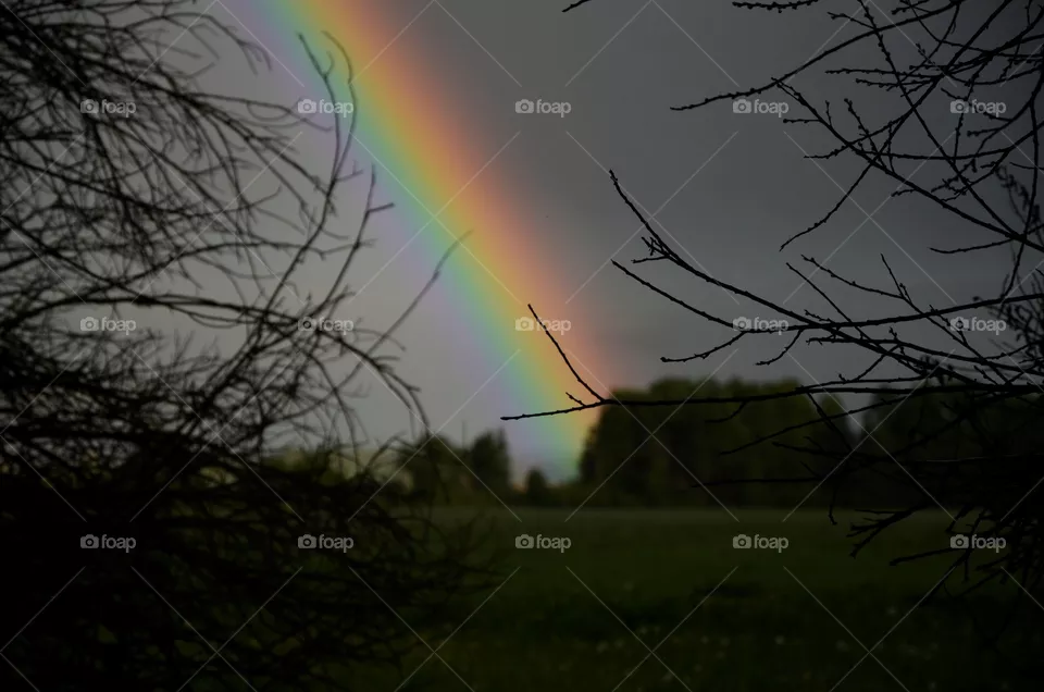 rainbow