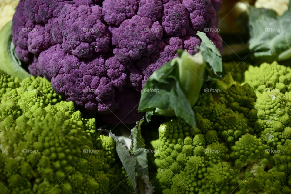 Entre coll y coll
Between coll and coll