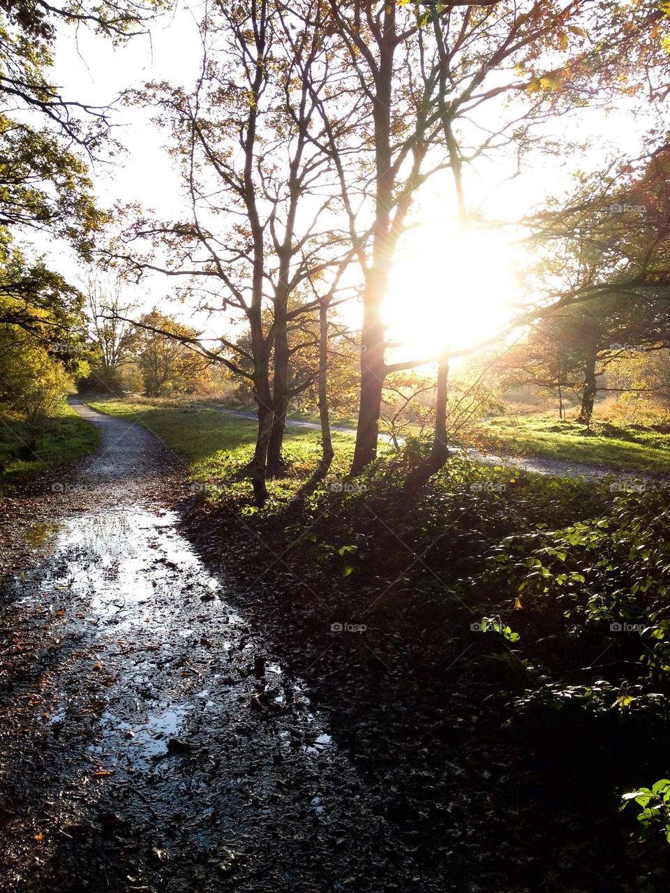 Running in Wimbledon Park