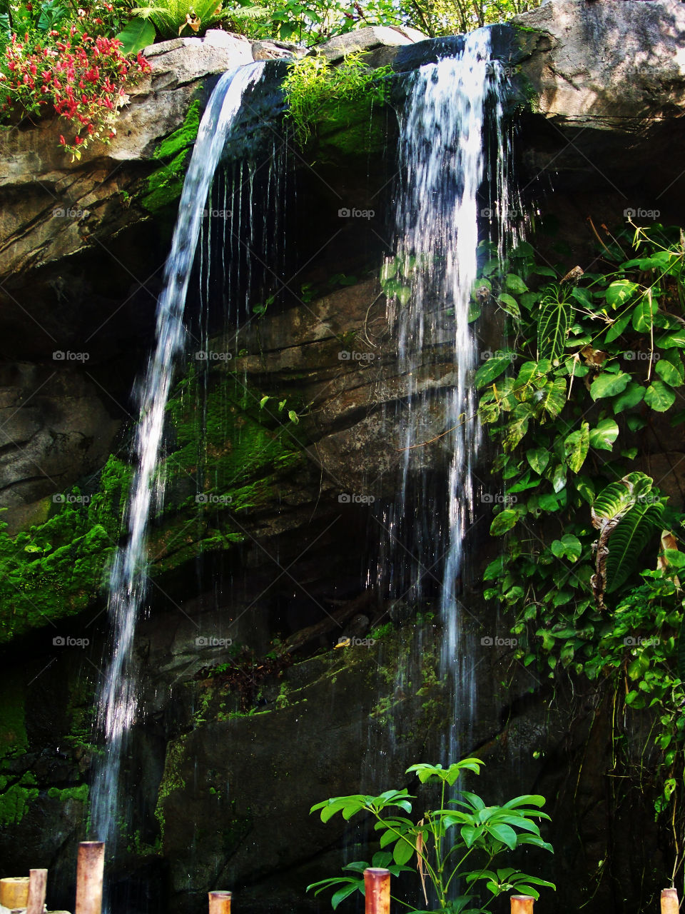 Disney's Animal Kingdom Waterfall