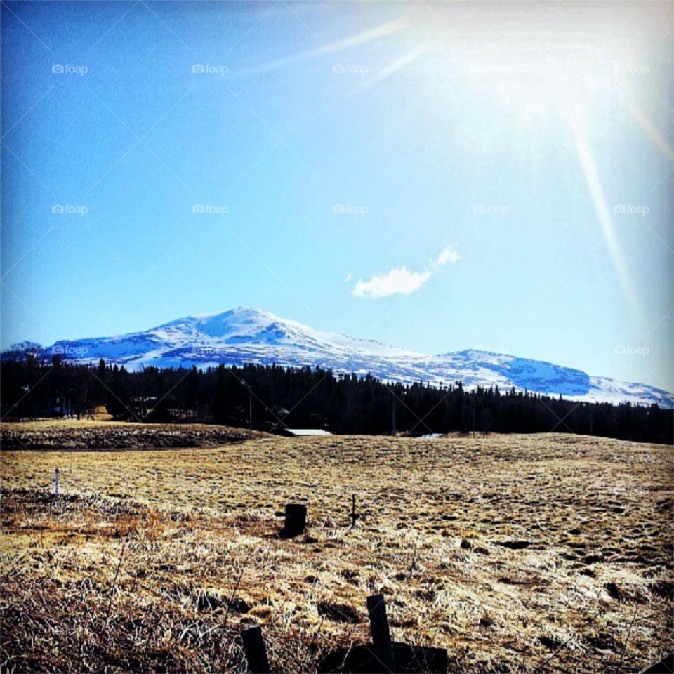 Spring-light!. Spring in the Swedish mountains! 