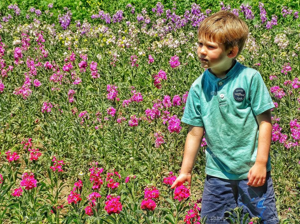 Young Boy In A California Garden