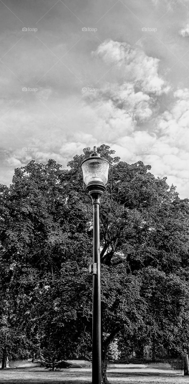 Black and White Lamppost