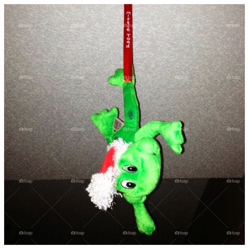 🎶 Mistle-toad hung where you can see... 🎶