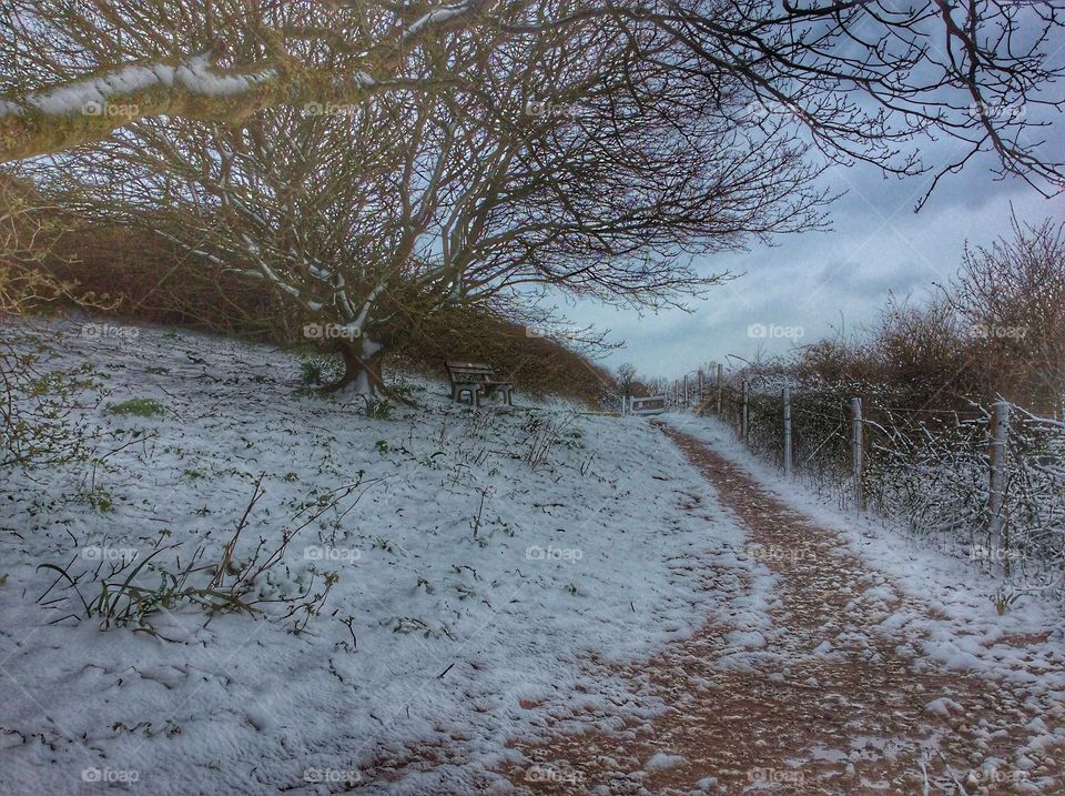 Snowy path 