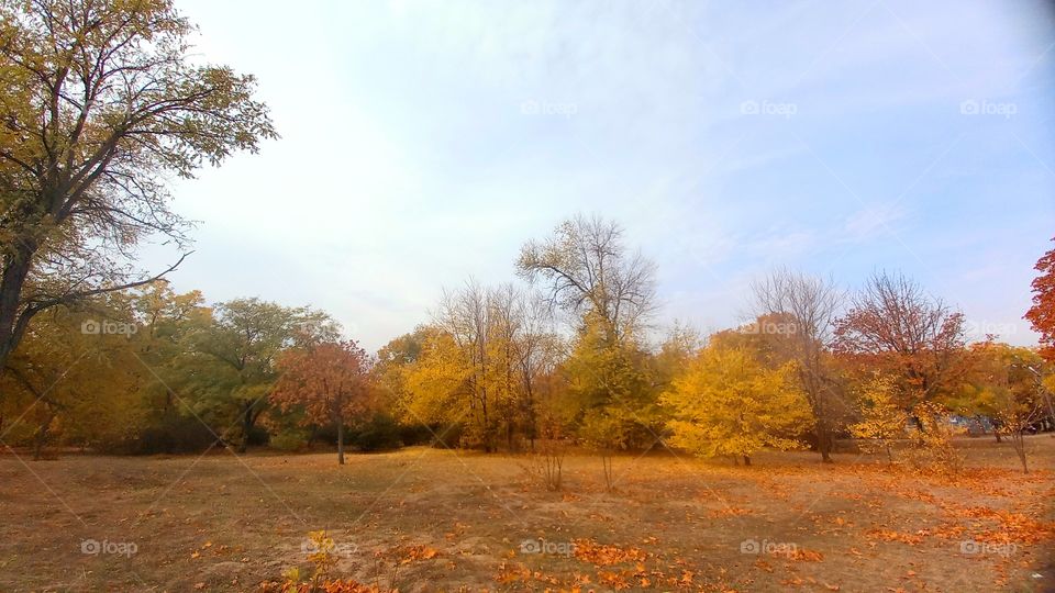 autumn view