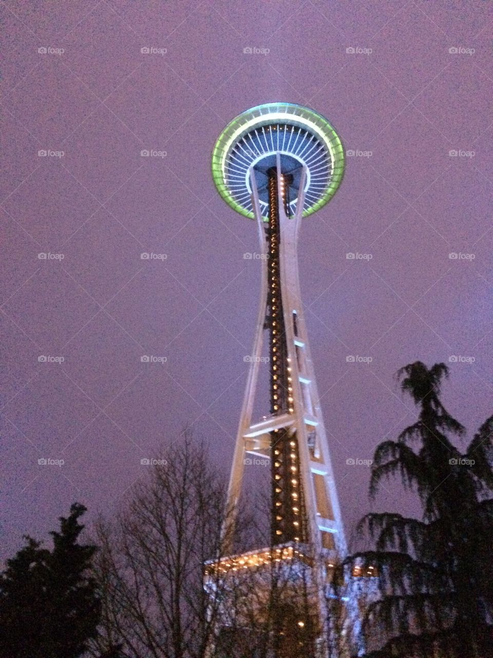 Space Needle at night light up in Seahawks Colors