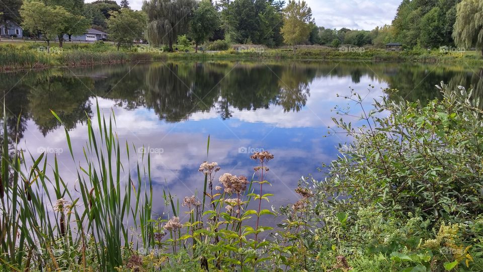 Reflected Sky