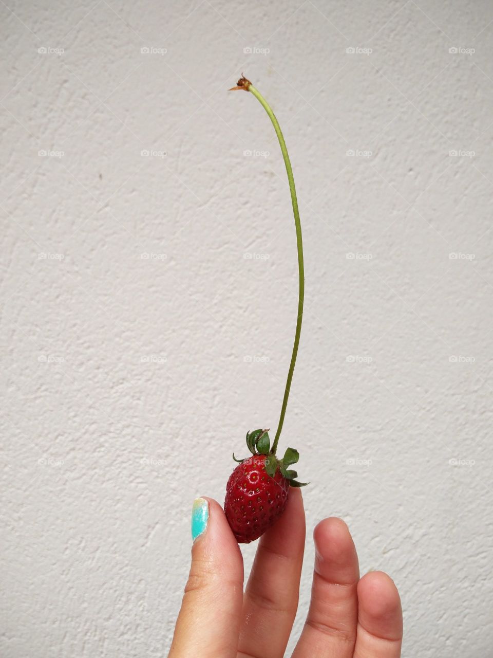 strawberry from my backyard:) organic food makes you smile