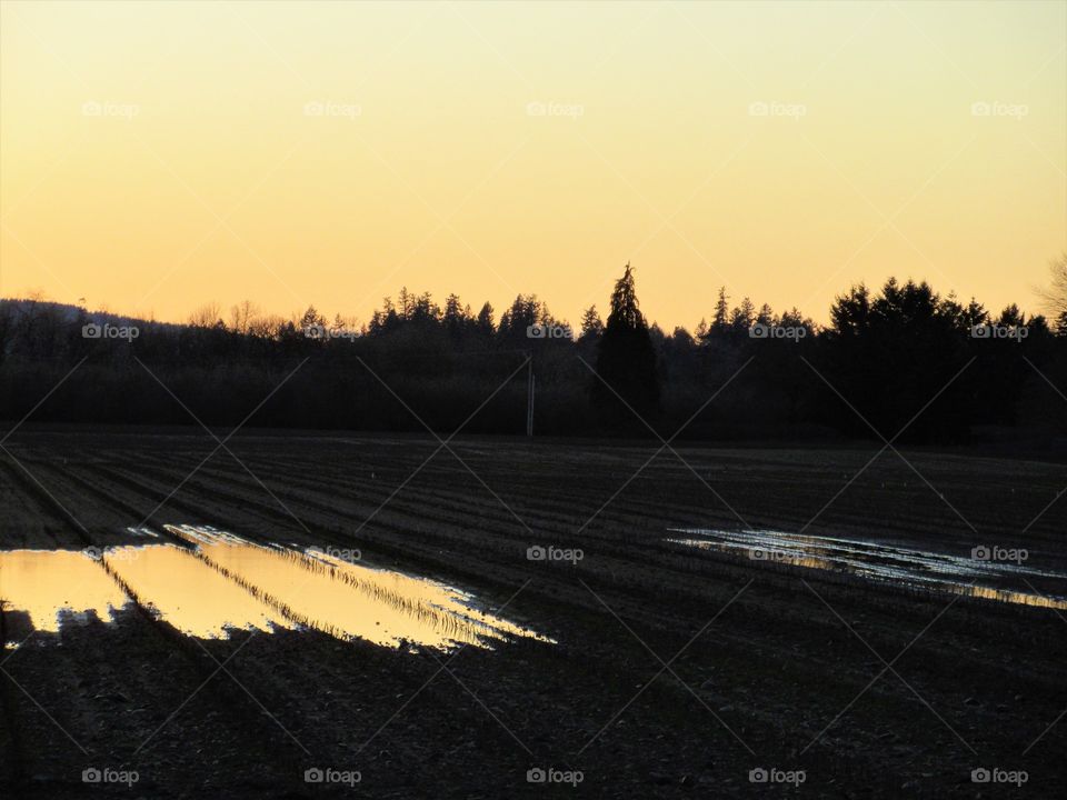 sunset and reflections