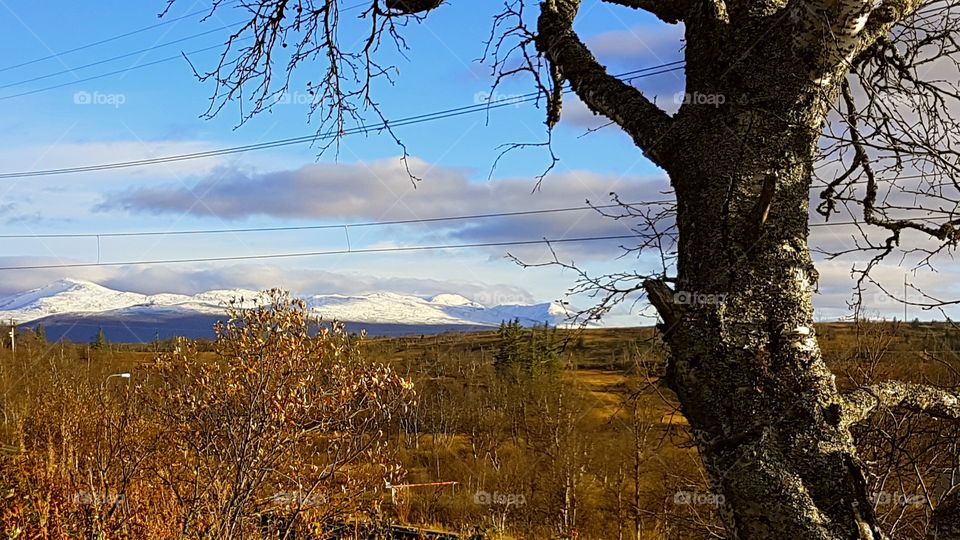 Snow-covered mountains and autumn in the village!