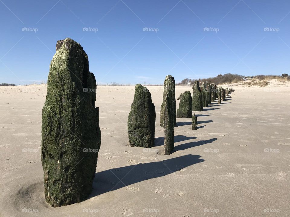 Wood stakes on beach 