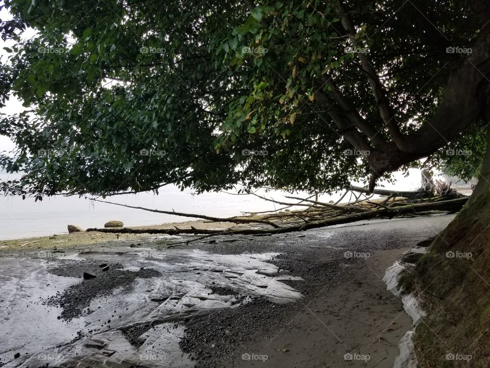 Mid day beach adventure!