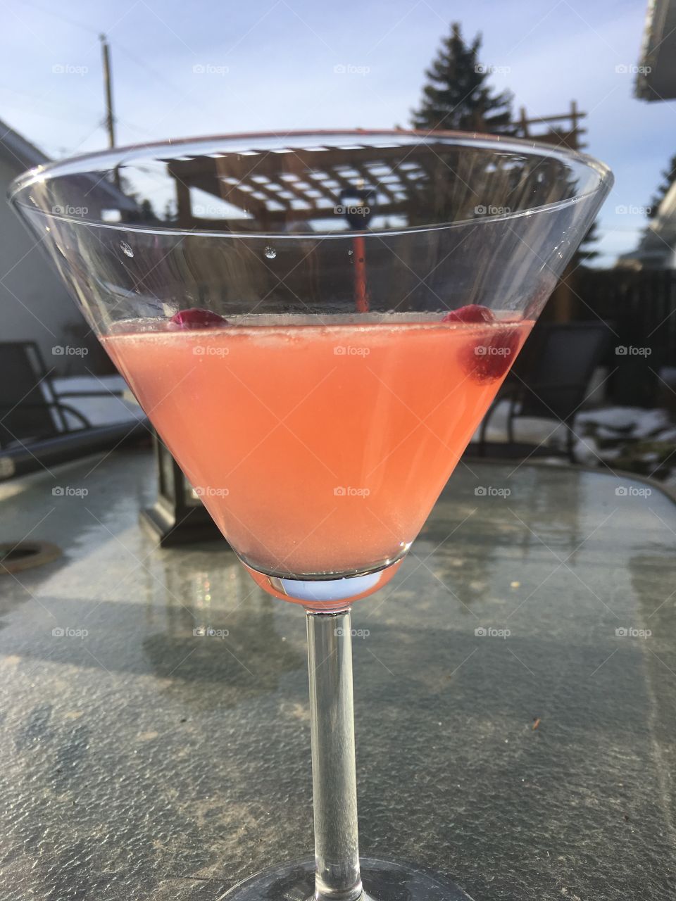 Martini in the backyard