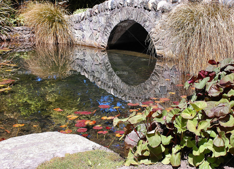 nature water bridge by wme