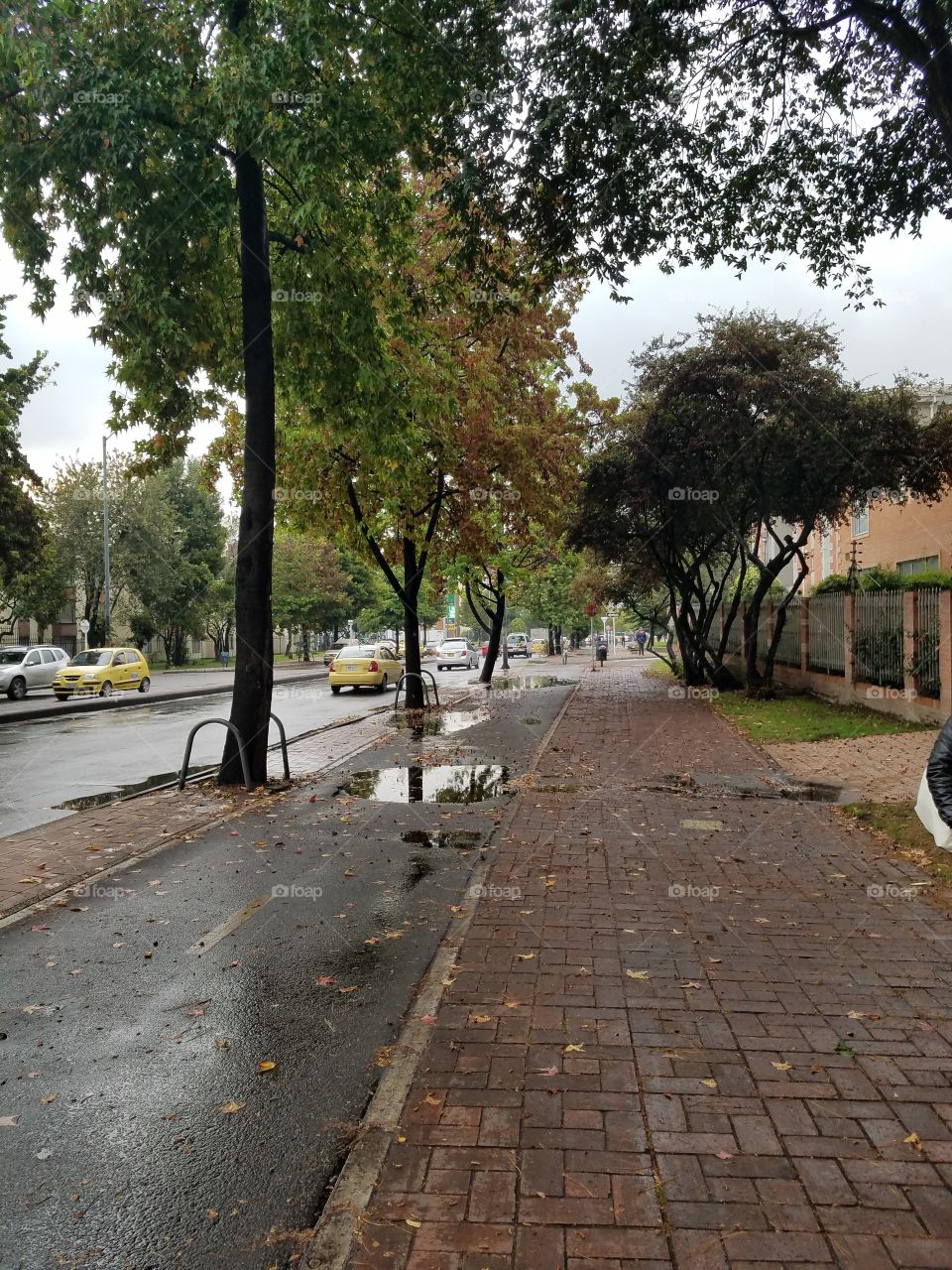 rain day walk