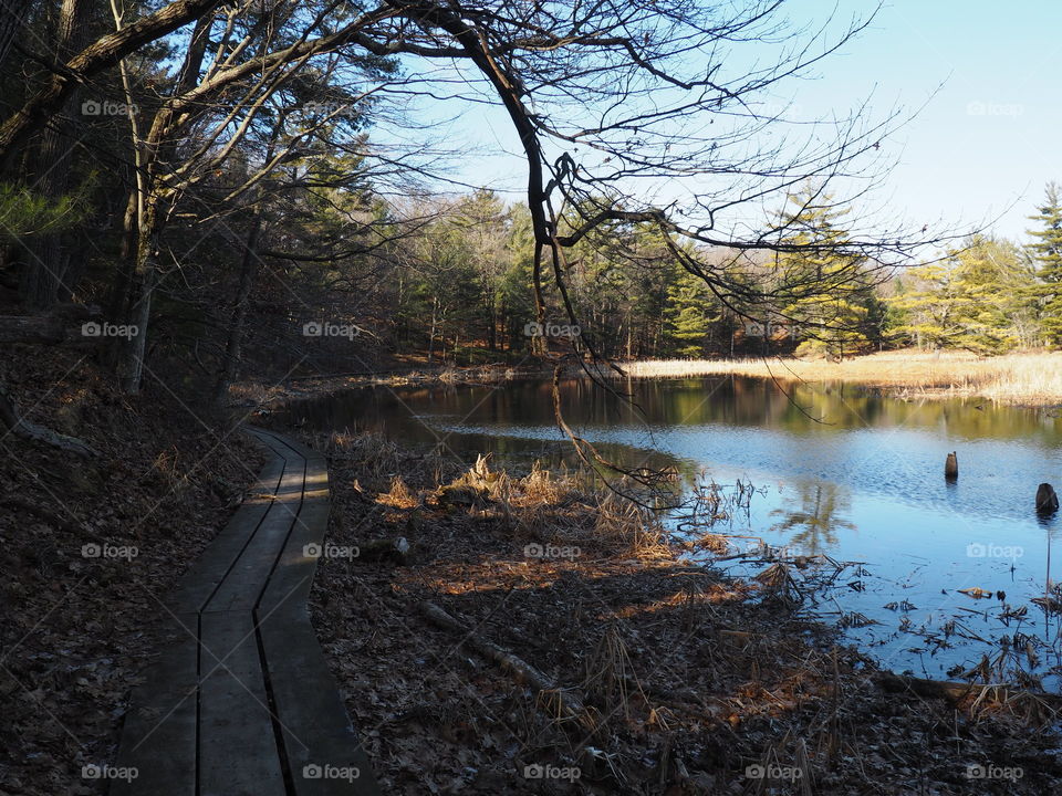 Trail in the Ludington State Park