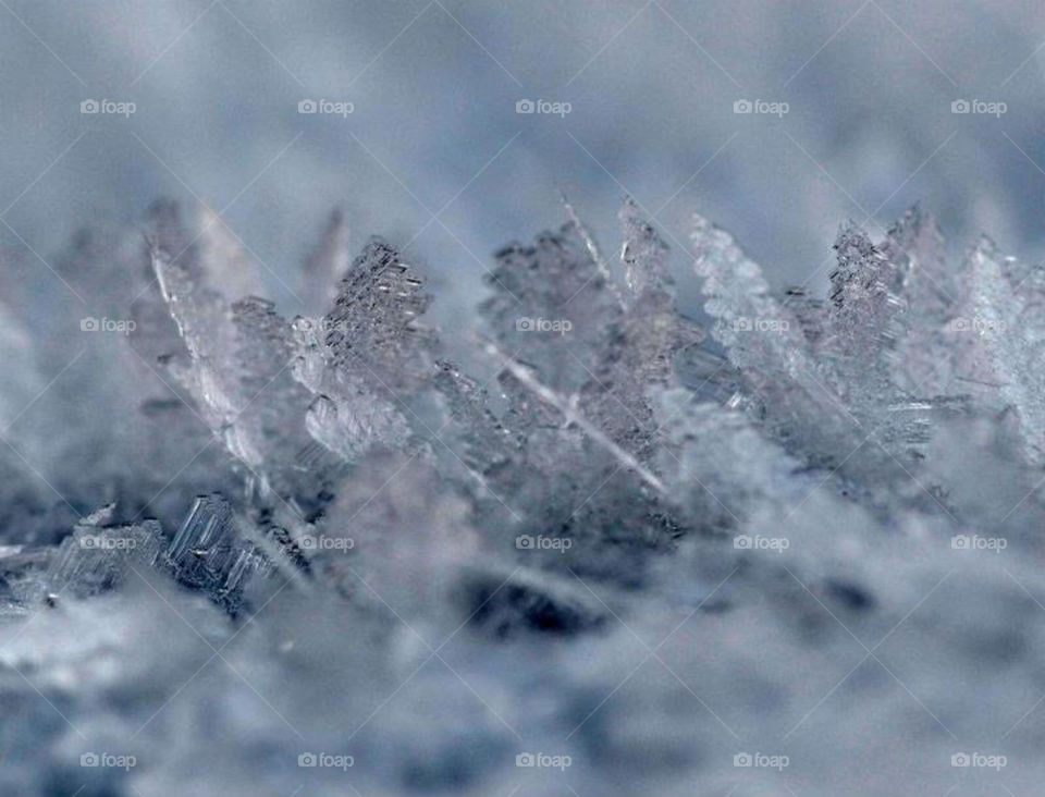 snow winter macro ice by paula