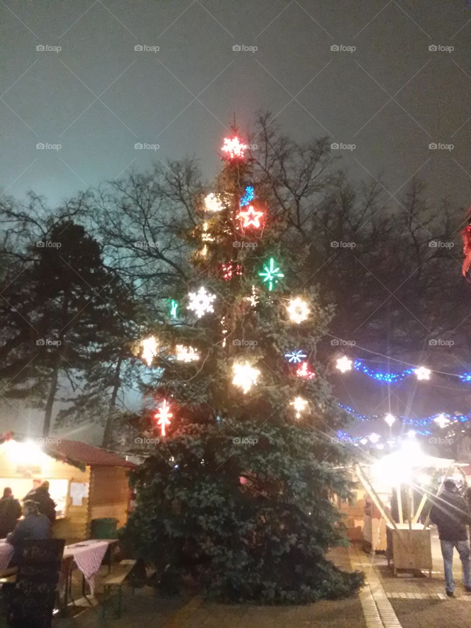 New year's tree in the park