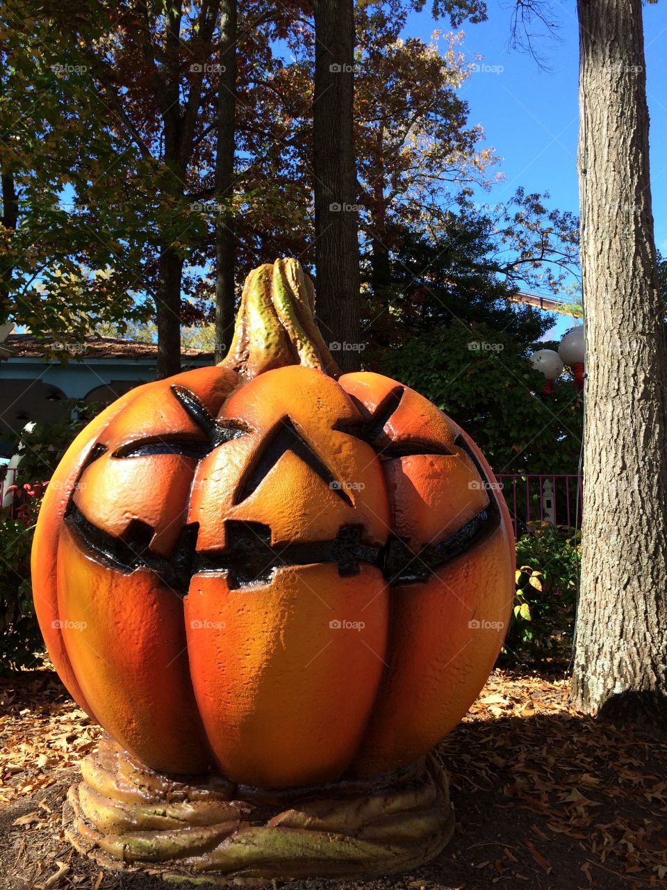 Pumpkin with a face
