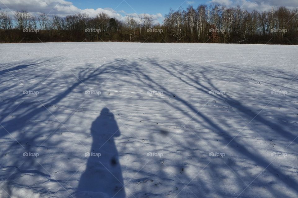 Winter shadows