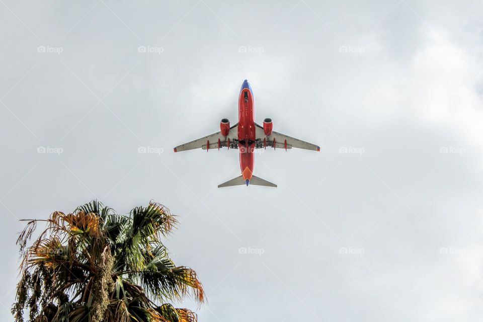 Airplane, Aircraft, Flight, Jet, Military