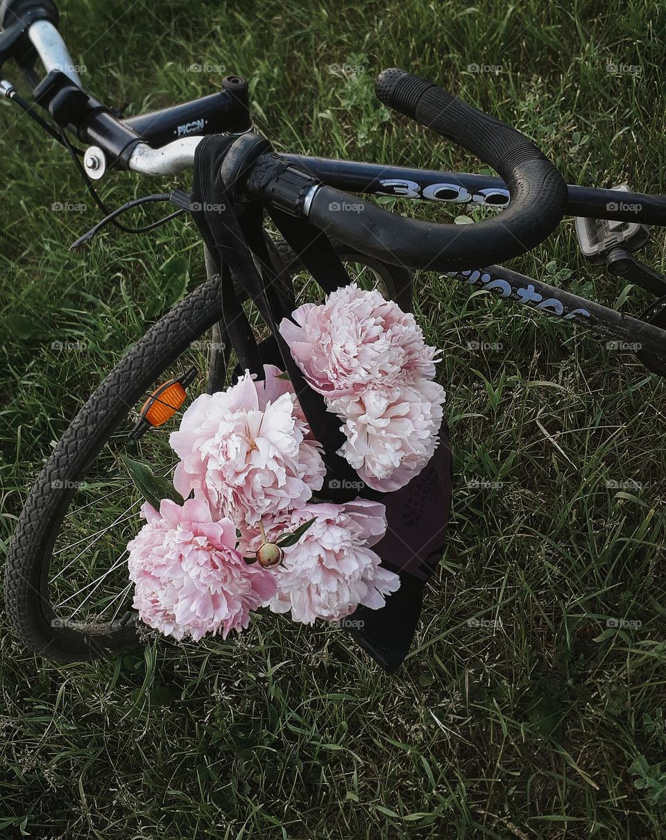 The steering wheel of a sports bike among spring greenery with a bouquet of pink peonies