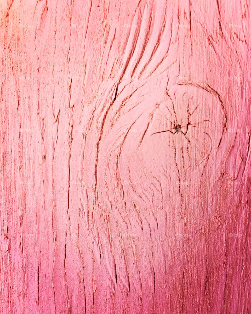 Close-up of pink wood
