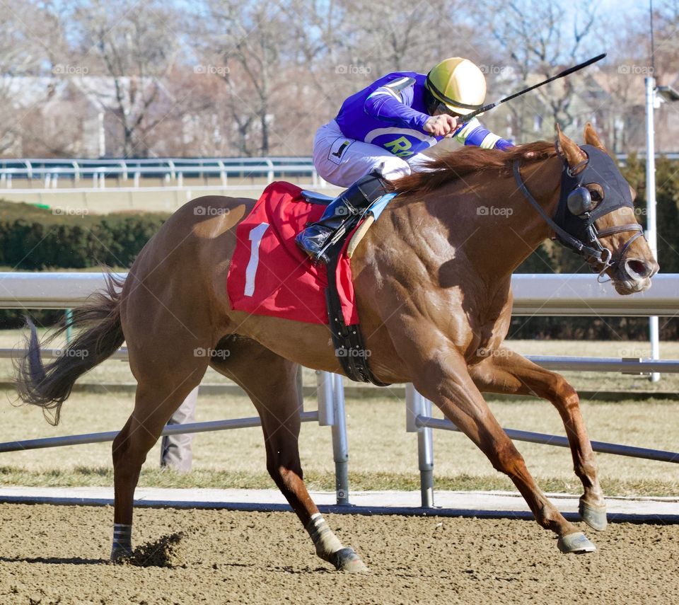 Racing from Aqueduct by Fleetphoto