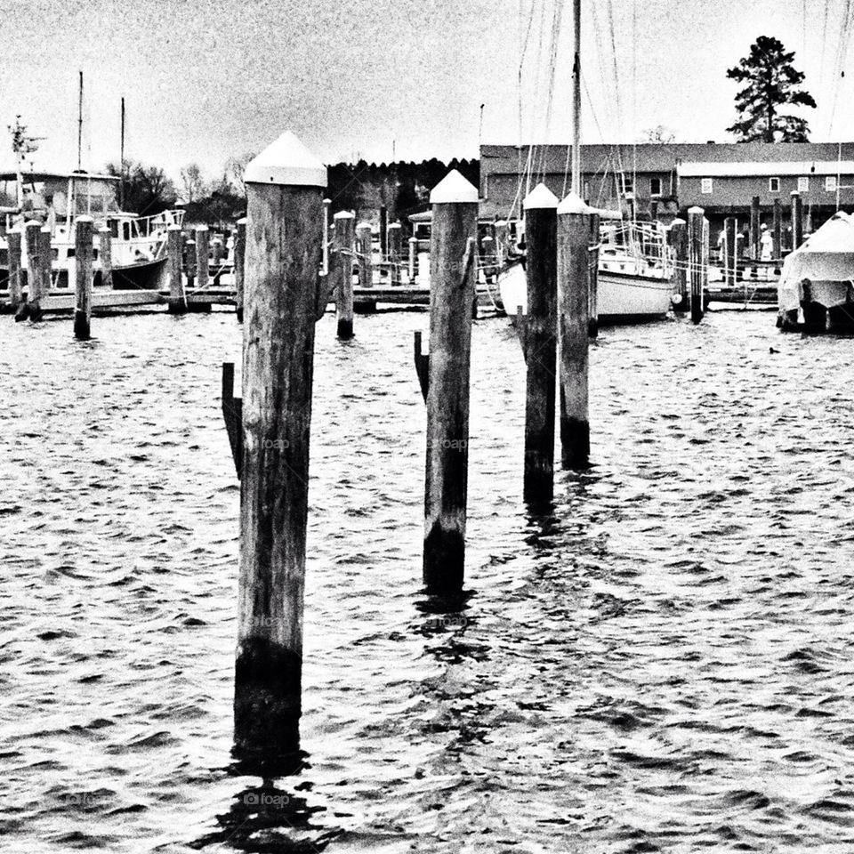 4 dock posts