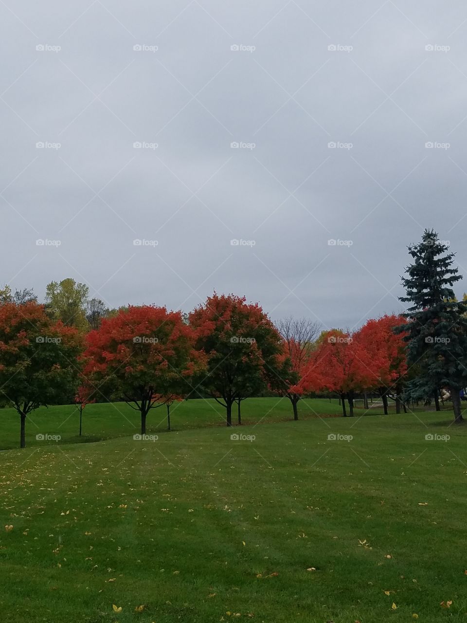 A beautiful day in autumn