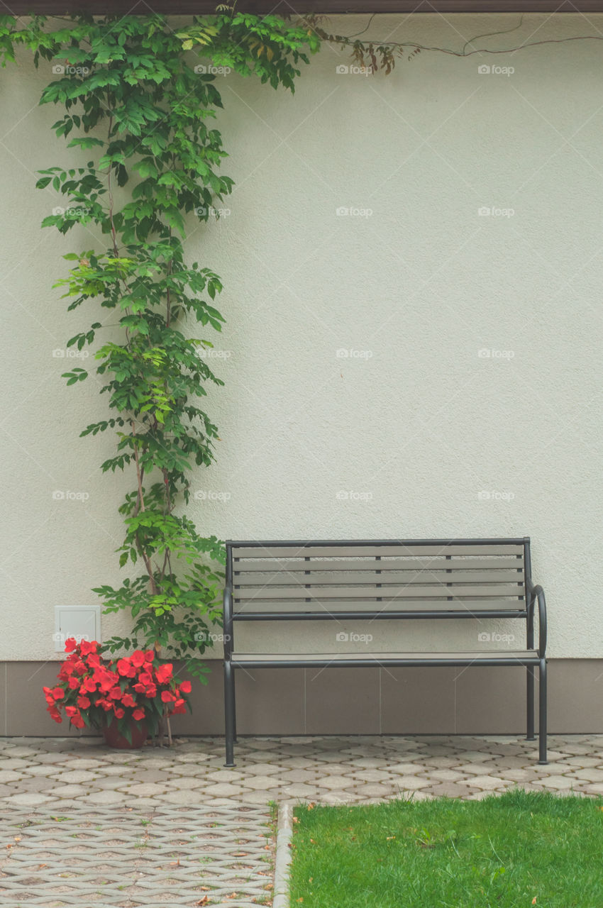 Urban garden bench and flower 