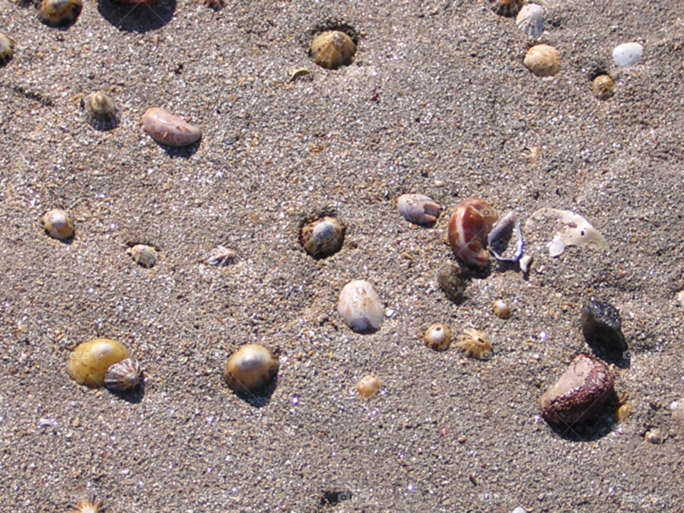 beach sand wallpaper shells by izabela.cib